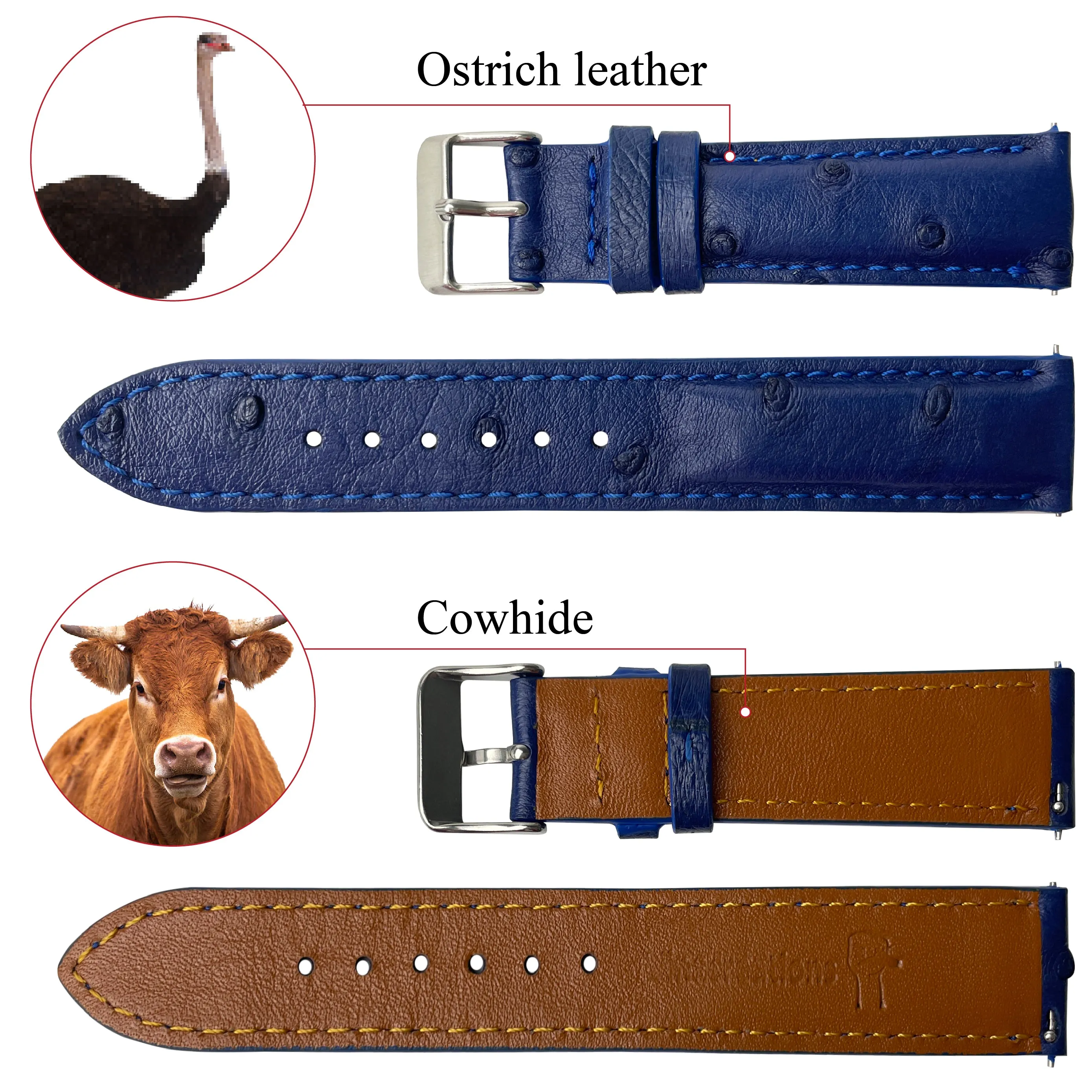 Blue Genuine Ostrich Watch Strap Quick Release DH-184